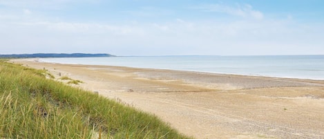 A coastal beach with a clear sky, grassy dunes, and a distant shoreline.