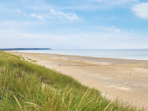 A coastal beach with a clear sky, grassy dunes, and a distant shoreline.