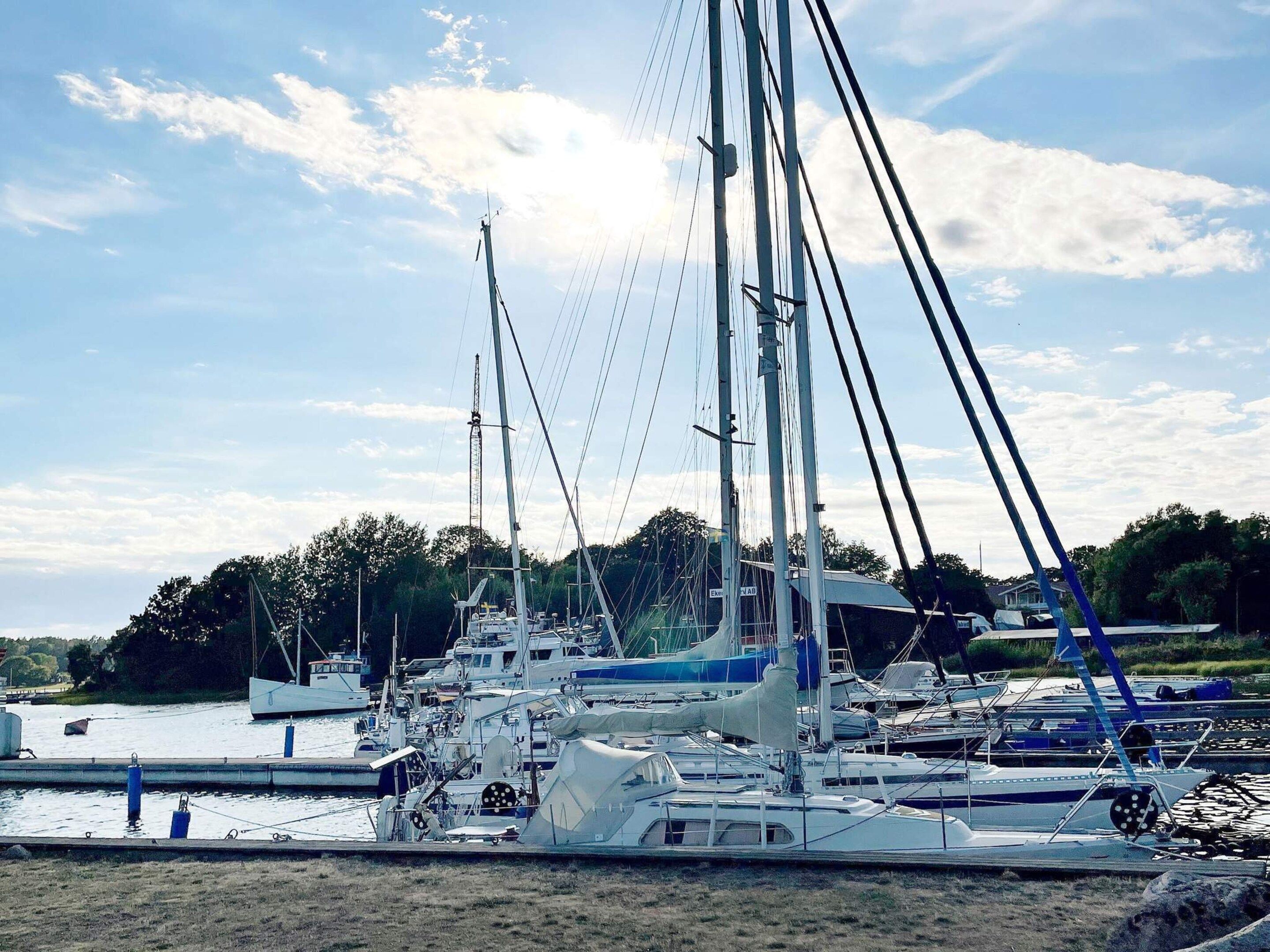 A marina with multiple sailboats docked, surrounded by greenery and a clear sky.