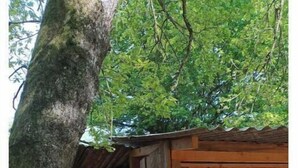 A wooden outdoor kitchen area with a metal trash can, surrounded by trees. - Large furnished tent in the heart of nature (Saint-Éloy-les-Tuileries)