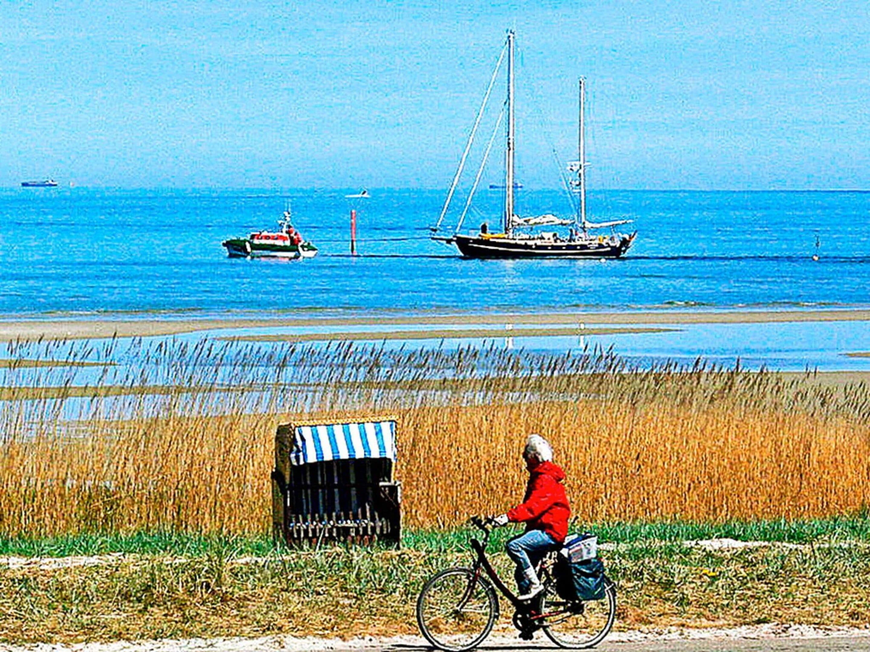 Uma pessoa andando de bicicleta em um caminho, com um campo de grama alta em primeiro plano e um corpo d'água com barcos ao fundo.