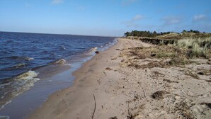 A beach with a sandy shore, gentle waves, and sparse vegetation.