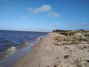 En strand med en sandstrand, milda vågor och gles vegetation.