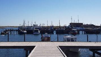 House | Marina