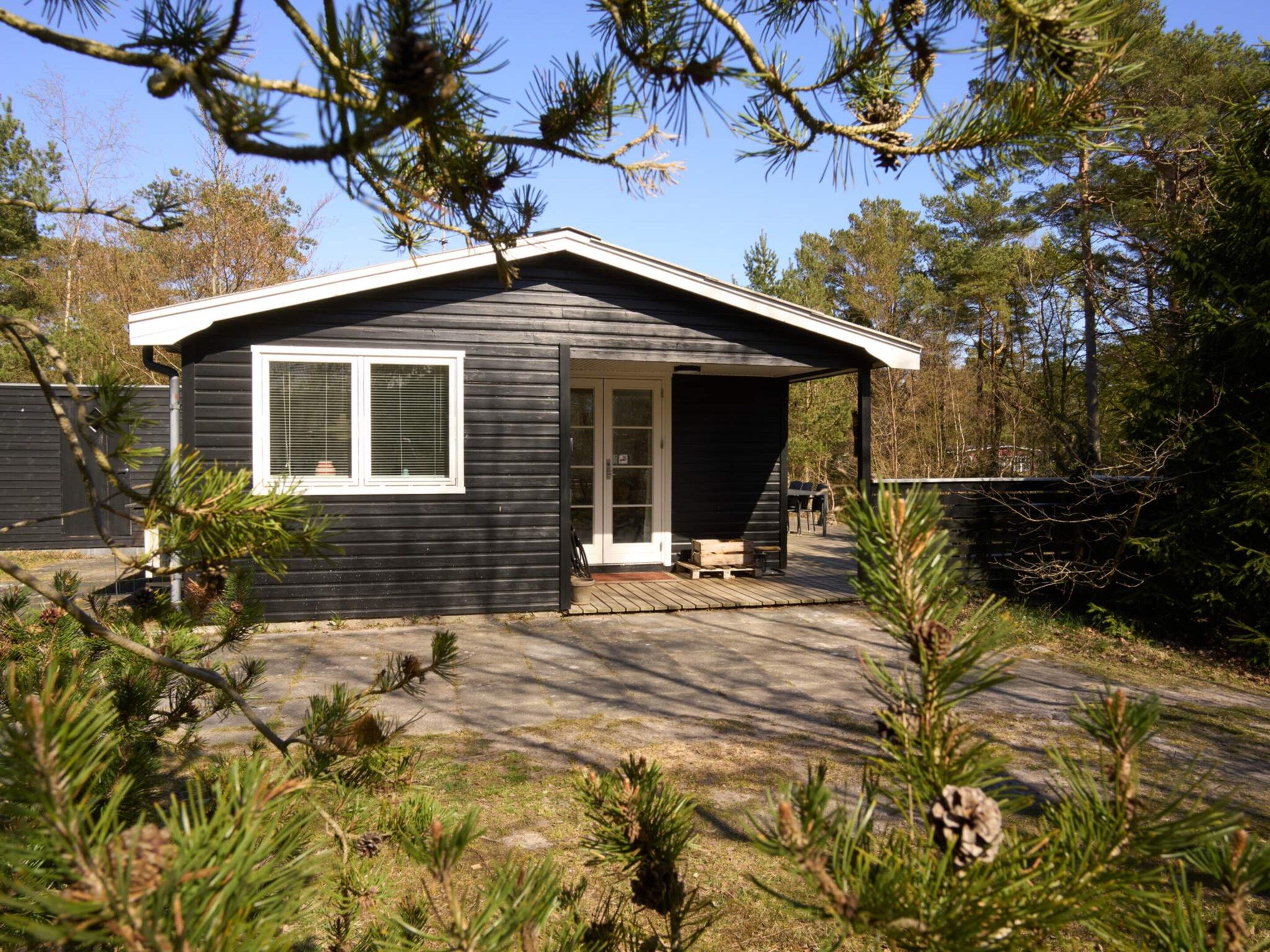 A small, single-story cabin with a covered porch, surrounded by pine trees and a clear sky.