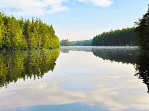 A calm lake surrounded by dense forest.