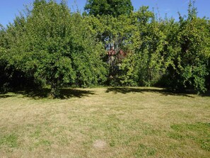 A grassy field with dense trees in the background.