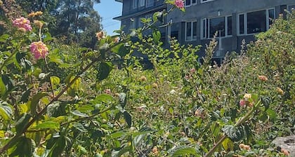 Lazo Eucy Paradise Resort