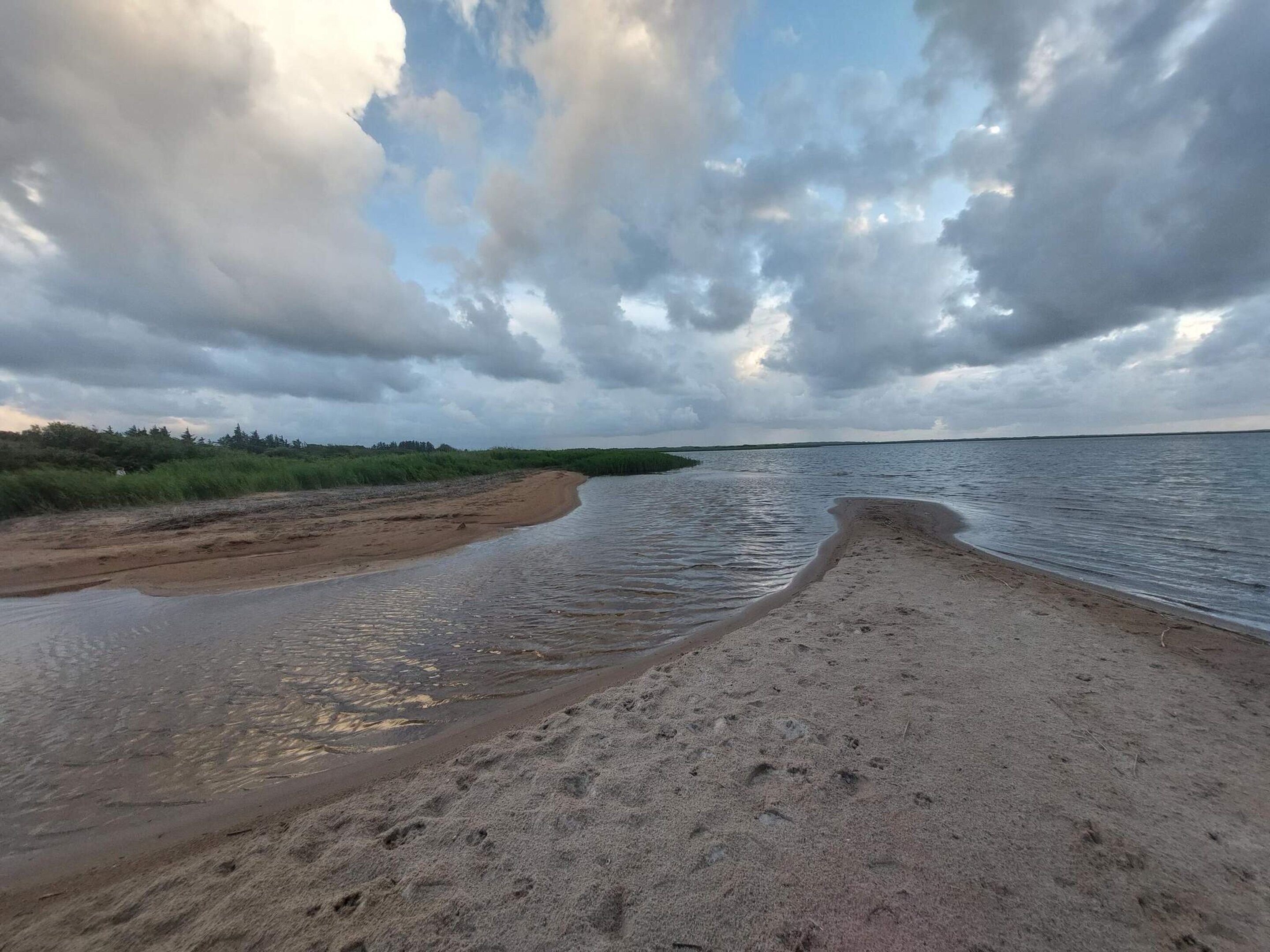 Une plage avec un rivage sablonneux et une étendue d’eau calme.
