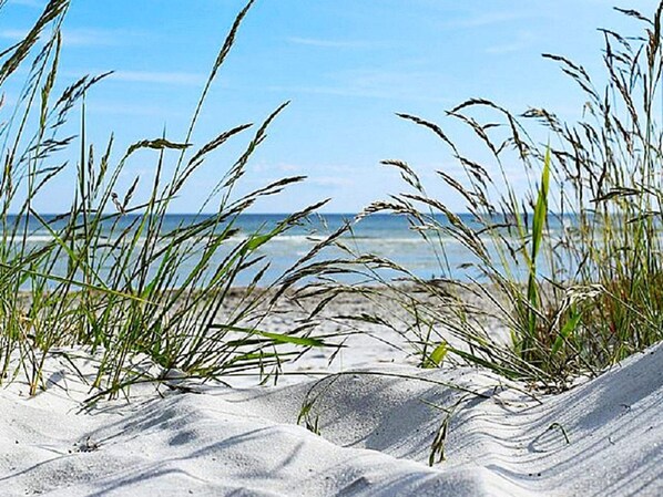 独立别墅 | 外观