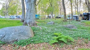 Een park met bomen, rotsen en een gazon.