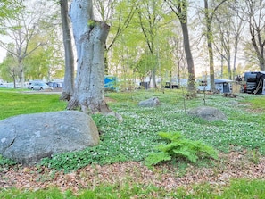 A park with trees, rocks, and a grassy area. - 10 Person Holiday Home in Solvesborg (Sölvesborg)