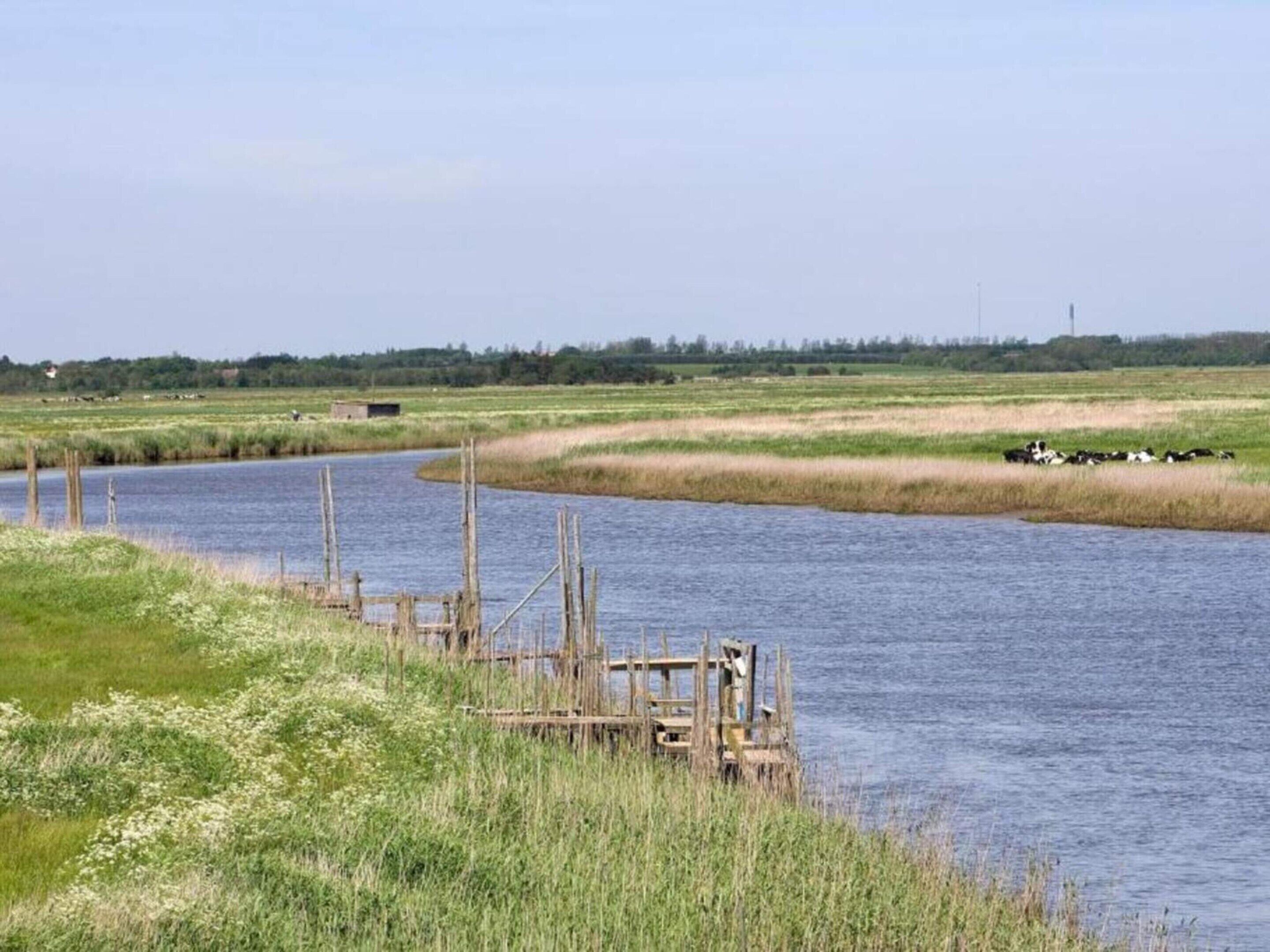 Orilla de río con un muelle de madera que se adentra en el agua, rodeada de campos verdes y una línea de árboles a lo lejos.