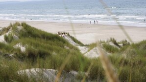 A beach with dunes and the ocean.