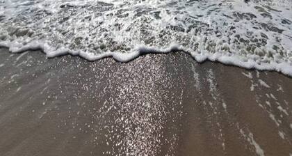 8 Person Holiday Home in Dannemare