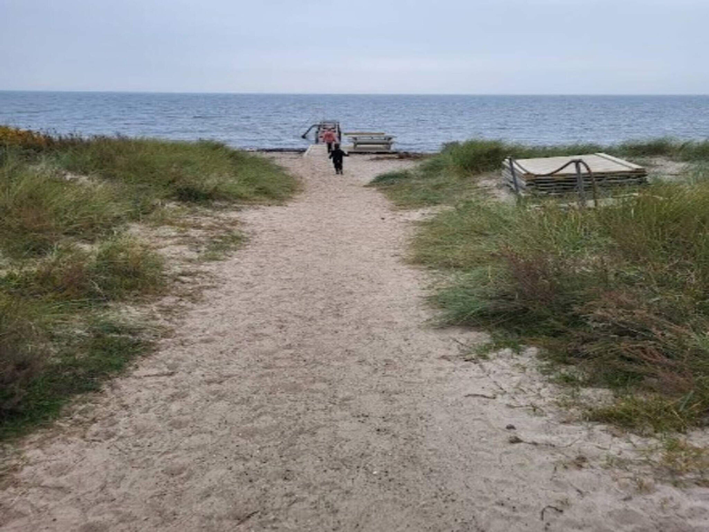 A sandy path leading to a beach with a bench and a small shelter.
