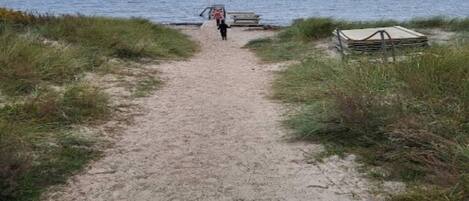 A sandy path leading to a beach with a bench and a small shelter.