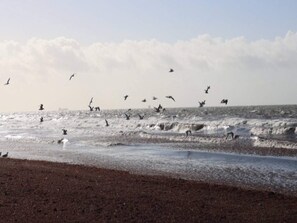 A beach with waves and birds flying. - 8 Person Holiday Home in Dannemare (Dannemare)