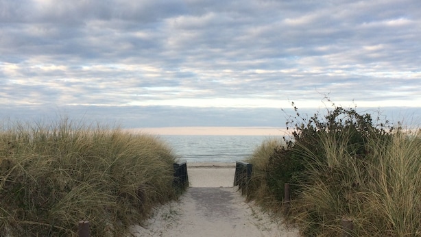 Un sentier sablonneux menant à une plage, bordé de hautes herbes et surplombé par un ciel nuageux.