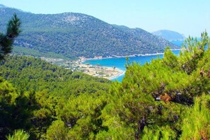 A coastal landscape with dense green forest and a clear view of the sea.