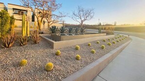 Ein angelegter Garten mit Kakteen und einem modernen Gebäude im Hintergrund.