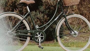 A stationary bicycle with a wicker basket on the handlebars, positioned on a grassy area with trees in the background.