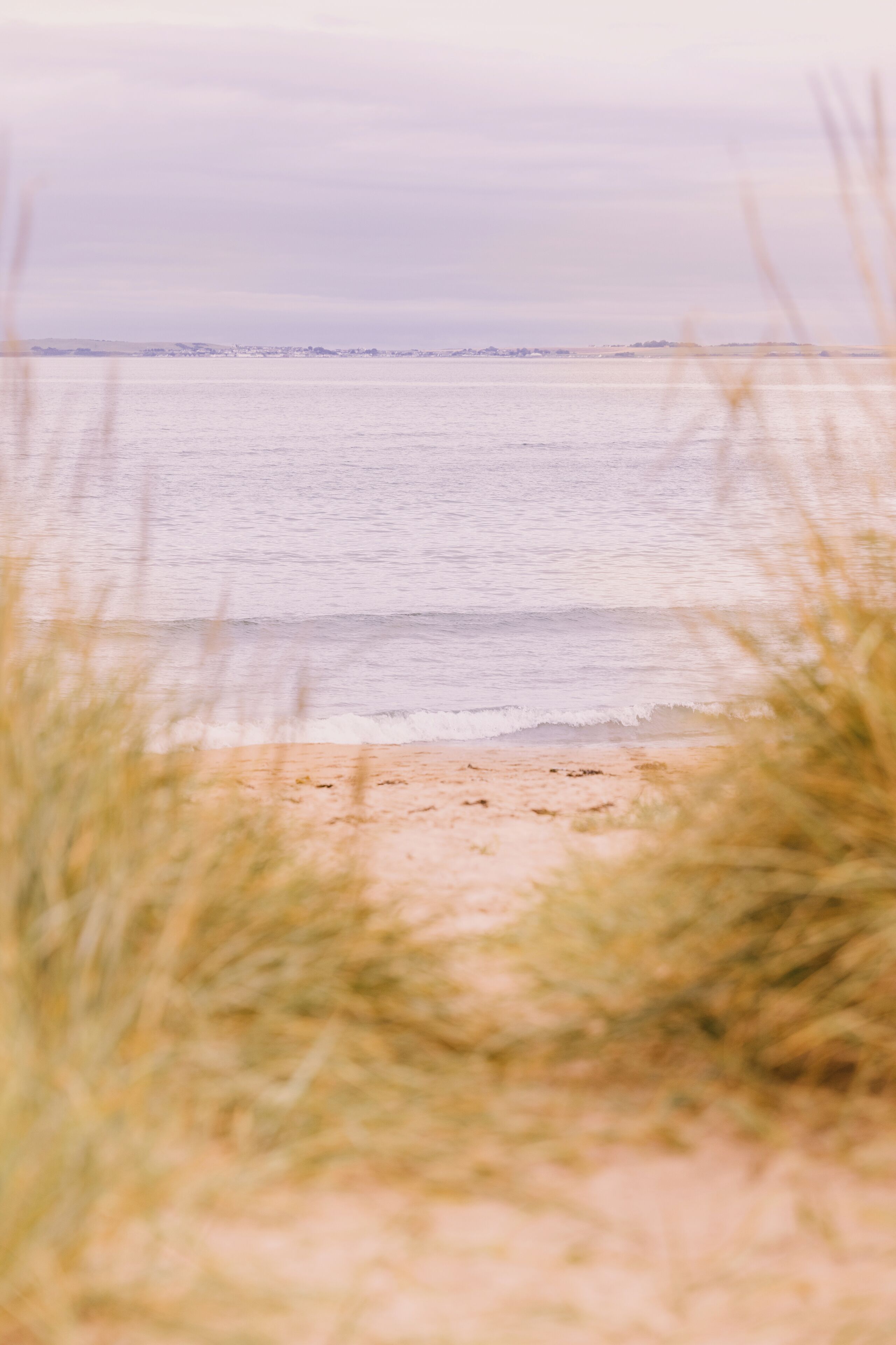 Plage à proximité, sable blanc
