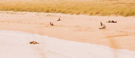 A sandy beach with scattered rocks and people in the distance.