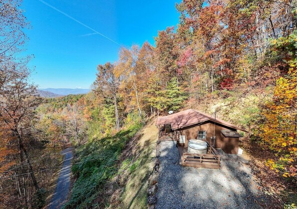 Escape to a serene forest retreat with a cozy cabin featuring a sloped roof and porch.