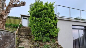 Una escalera de piedra que sube hacia un edificio moderno con un arbusto verde.