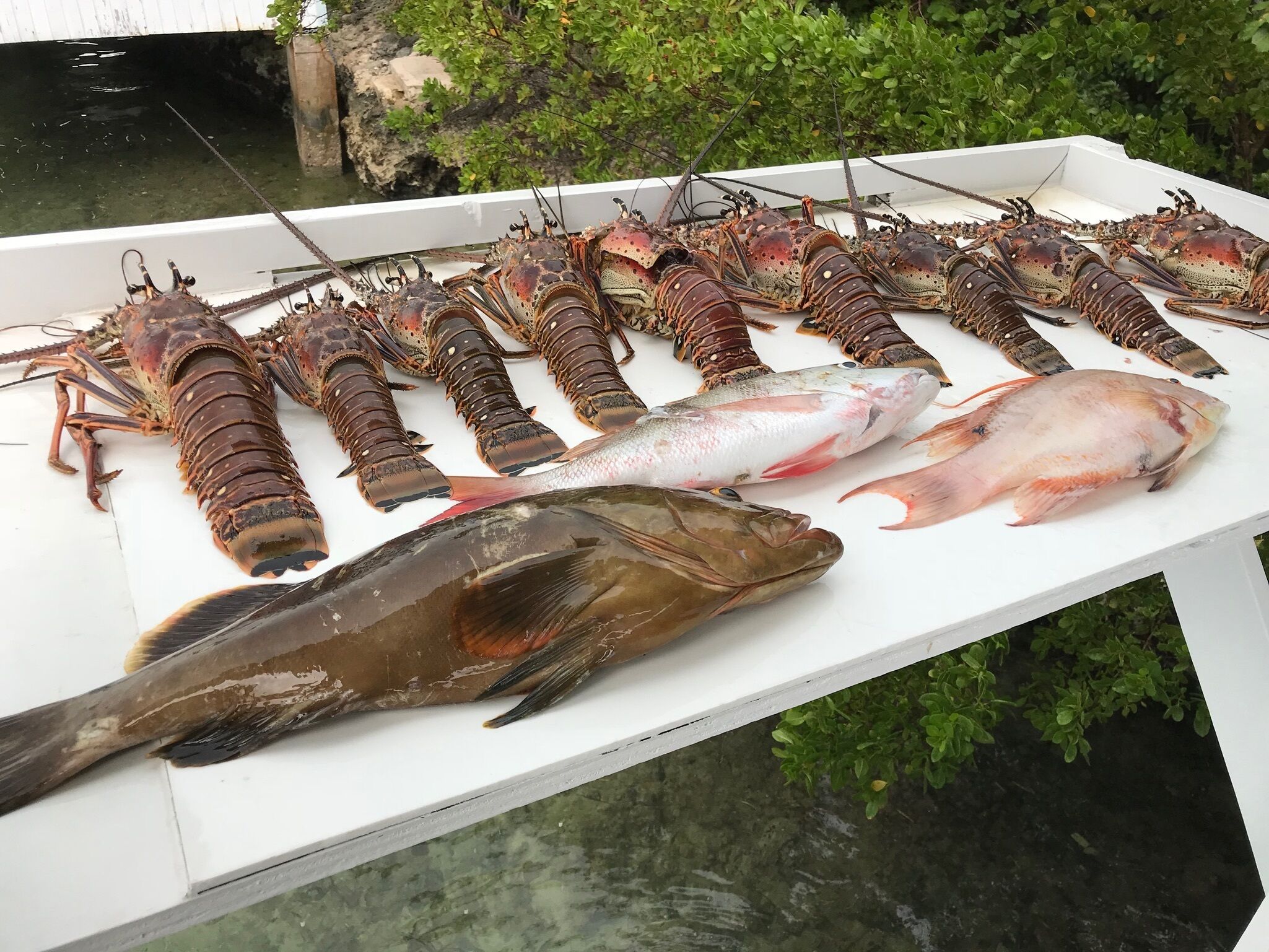 Une table où l’on voit des homards et du poisson, probablement provenant d’un marché aux poissons ou d’un restaurant.