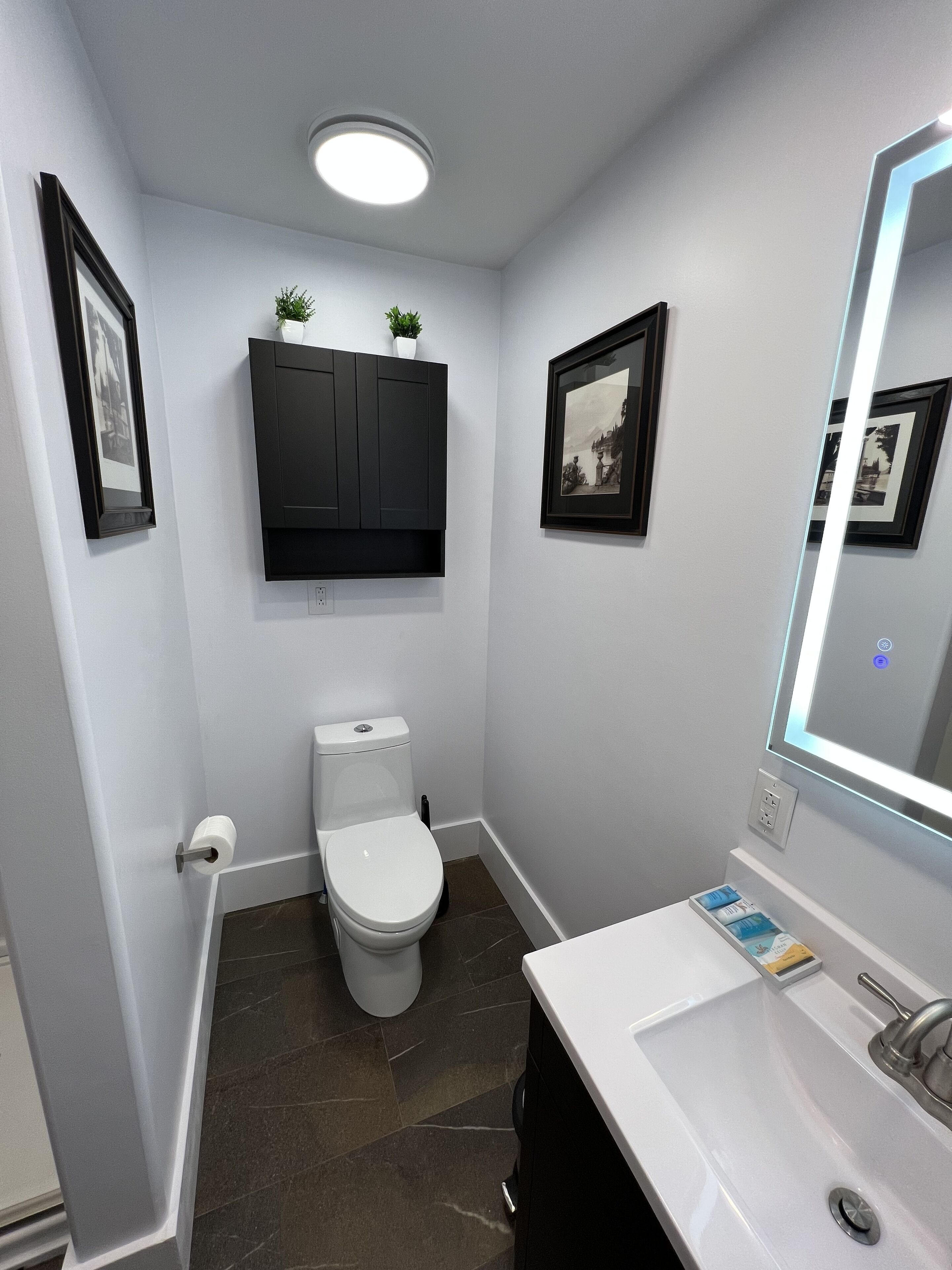 A modern bathroom with a toilet, sink, and mirror. There are framed pictures on the walls and a small plant on the cabinet.