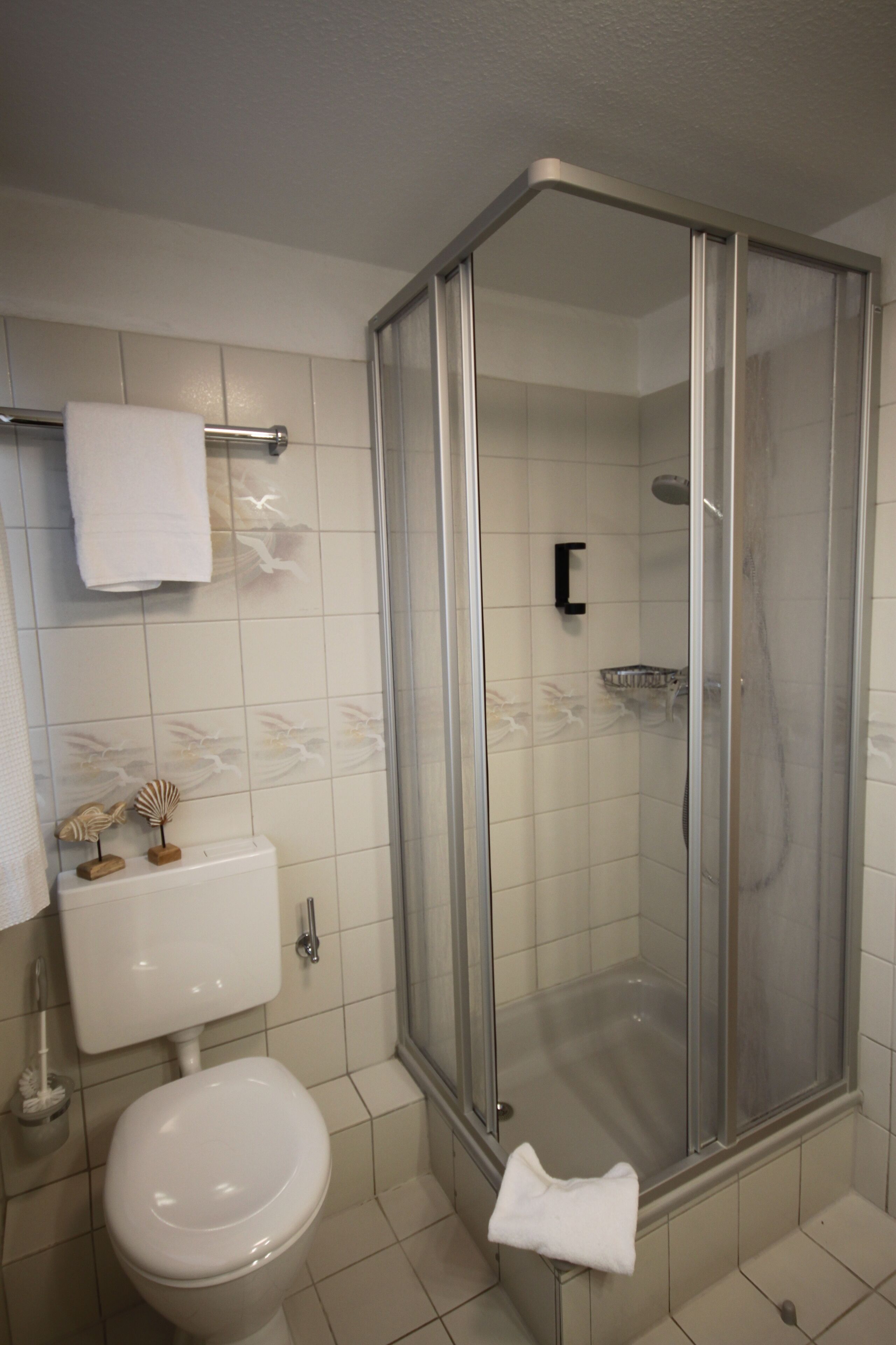Une salle de bain comprenant des toilettes, une douche fermée par une paroi de verre et un porte-serviettes.