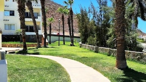 A pathway leading to a building with a stone wall and palm trees. - Departamentos FVD (Cabo San Lucas)