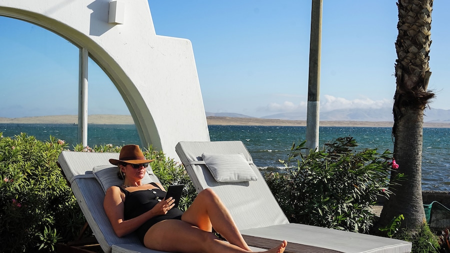 Atoq Paracas Reserva