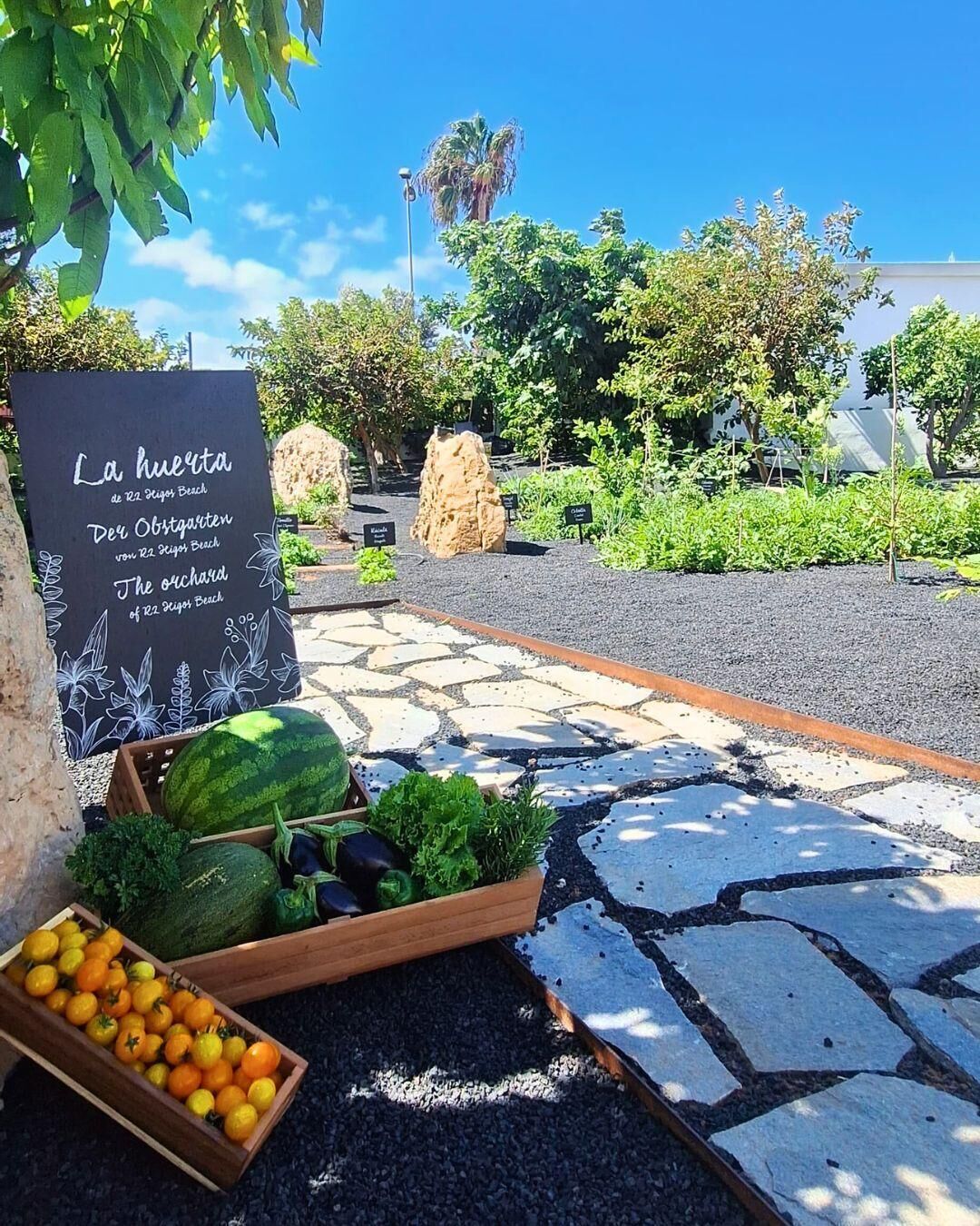 Foto - R2 Higos Beach