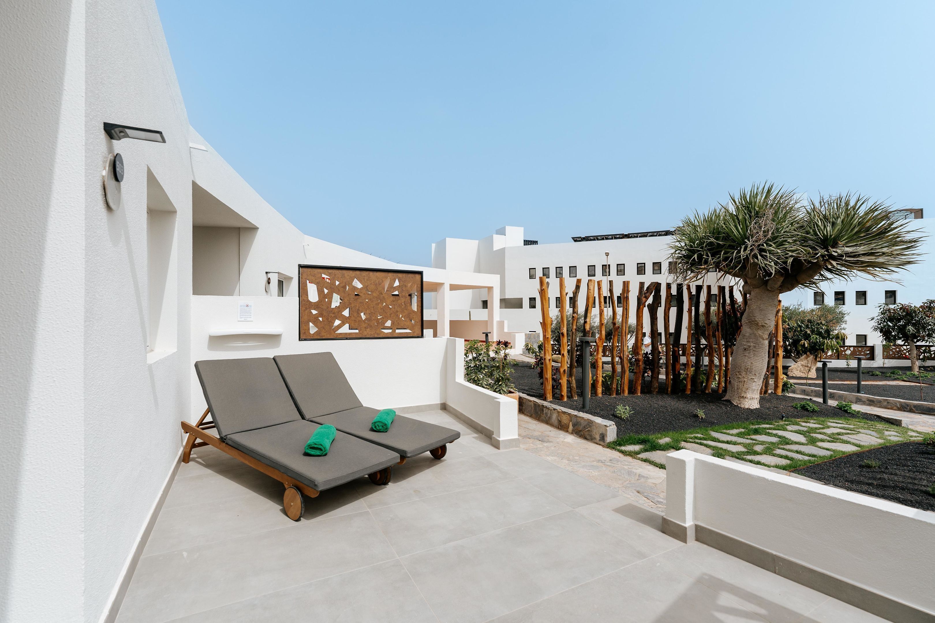 Un espacio lounge al aire libre moderno con dos tumbonas, un muro decorativo y una palmera.