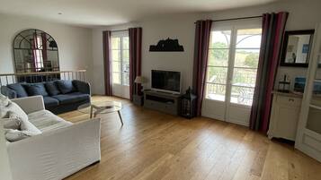 電視、DVD 播放機