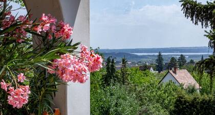 Holiday home with panorama and internet