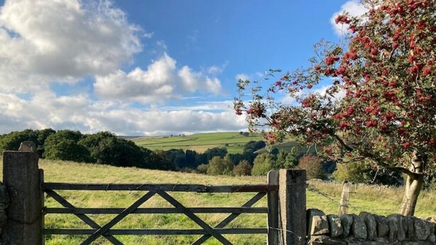 Un paysage rural avec une barrière en bois et un mur de pierres.
