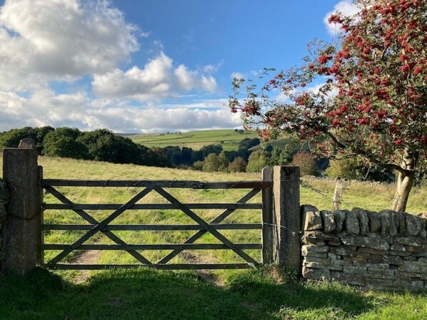 المنطقة المحيطة بالمنشأة