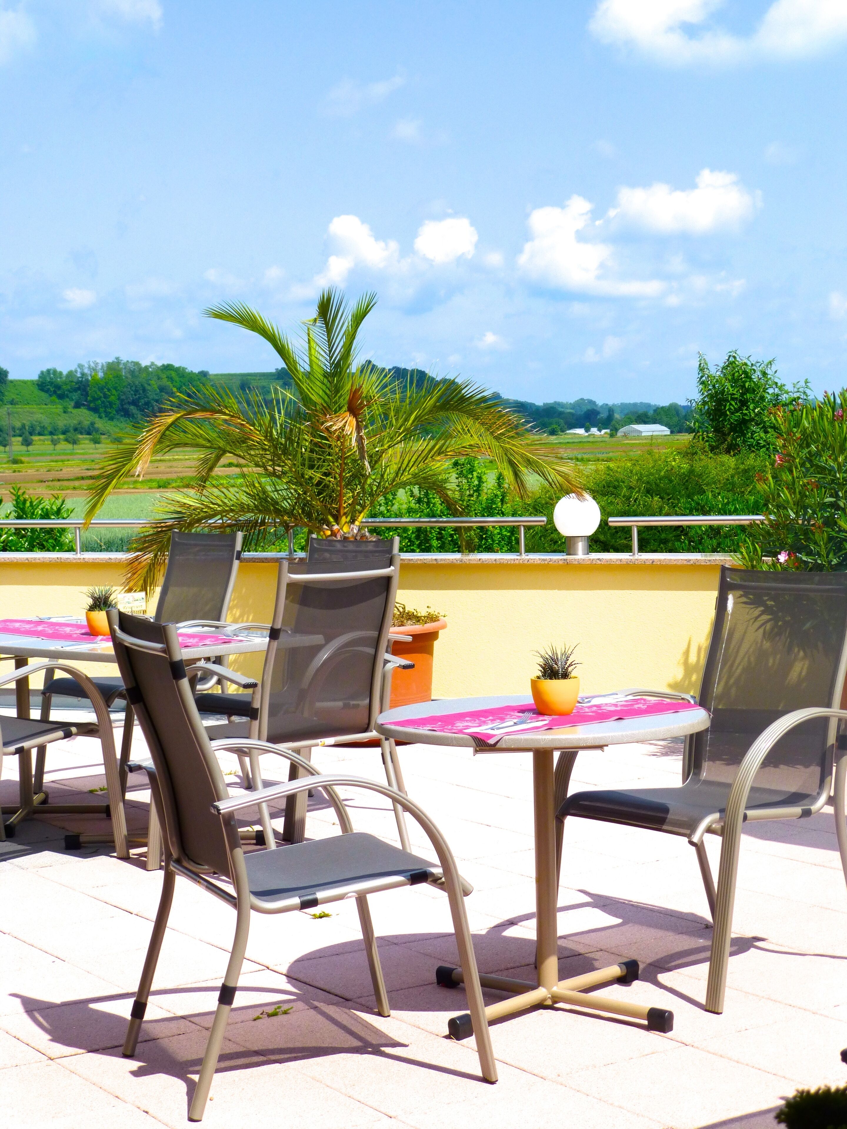 Une terrasse extérieure avec des chaises et des tables en métal, un pot de fleurs et une vue sur un paysage verdoyant.