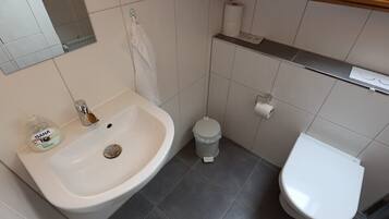 A bathroom with a sink, toilet, and a trash bin.