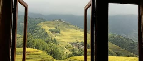 A view through a window with a landscape of terraced fields and hills.
