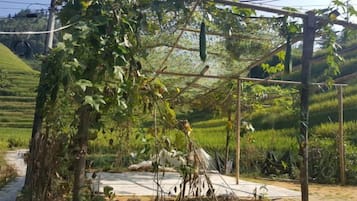 A pergola structure with vines, surrounded by terraced fields.