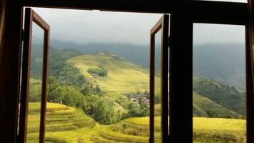 الإطلالة من المنشأة