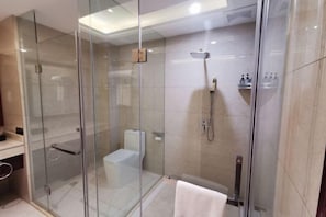 Une cabine de douche fermée par des parois en verre, avec des toilettes, un porte-serviettes et une pomme de douche.