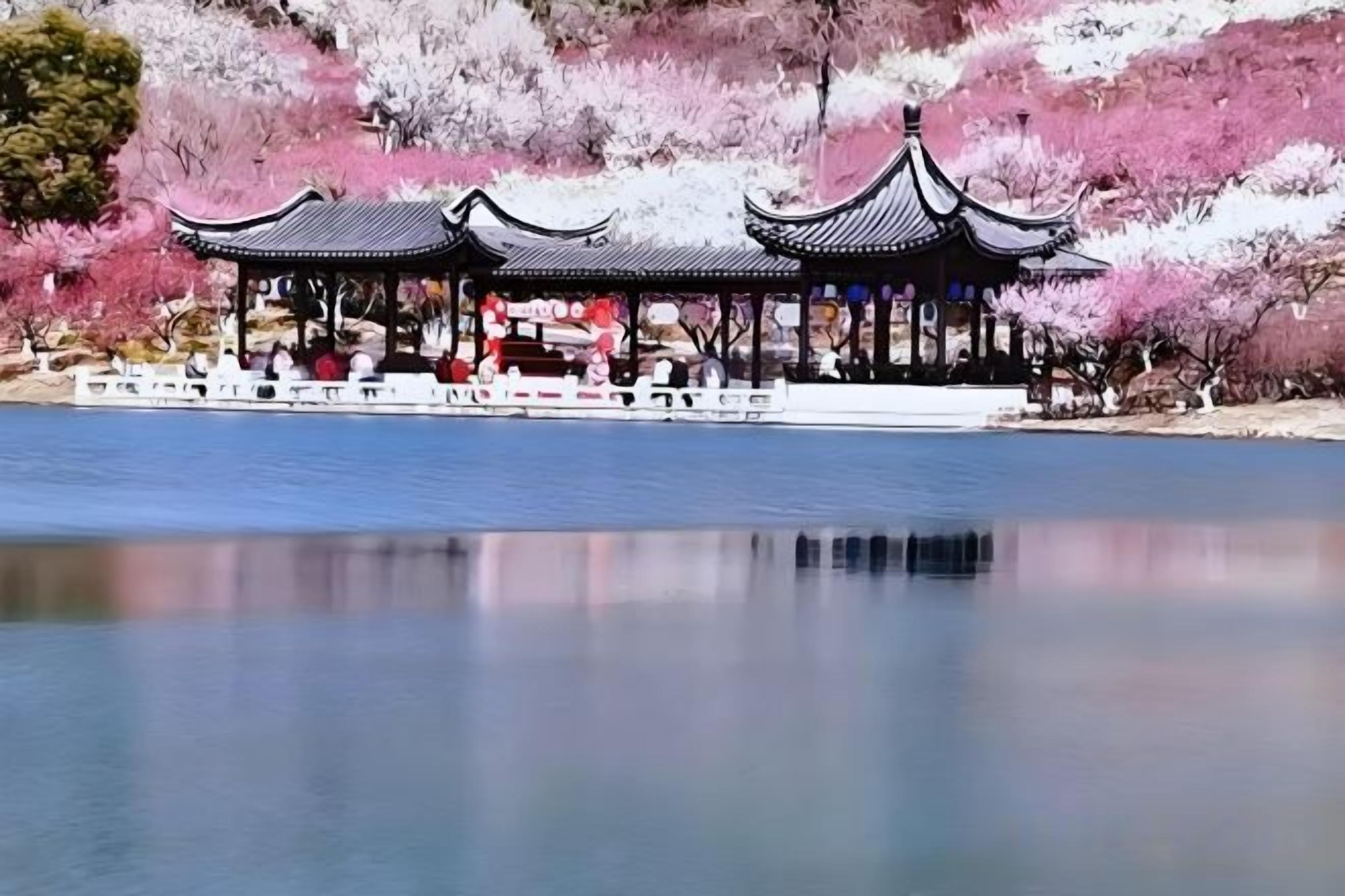 A traditional pavilion with a roof over a body of water, surrounded by cherry blossoms.