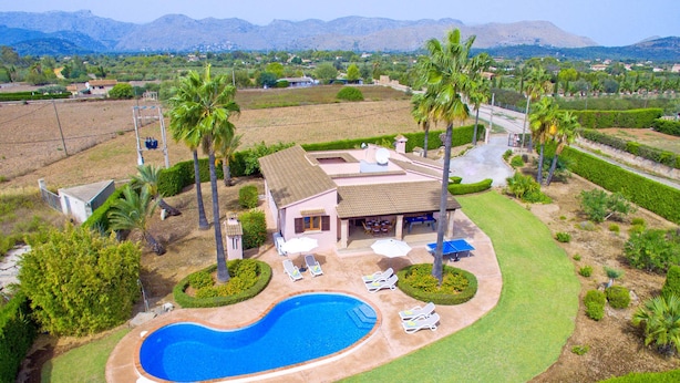 A house with a swimming pool, surrounded by palm trees and a well-maintained lawn. - Villa Bauza by Villa Plus (Mallorca)