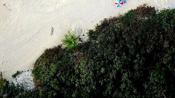 Luftaufnahme eines Strandes mit klarem türkisblauem Wasser, Sandküste und spärlicher Vegetation.